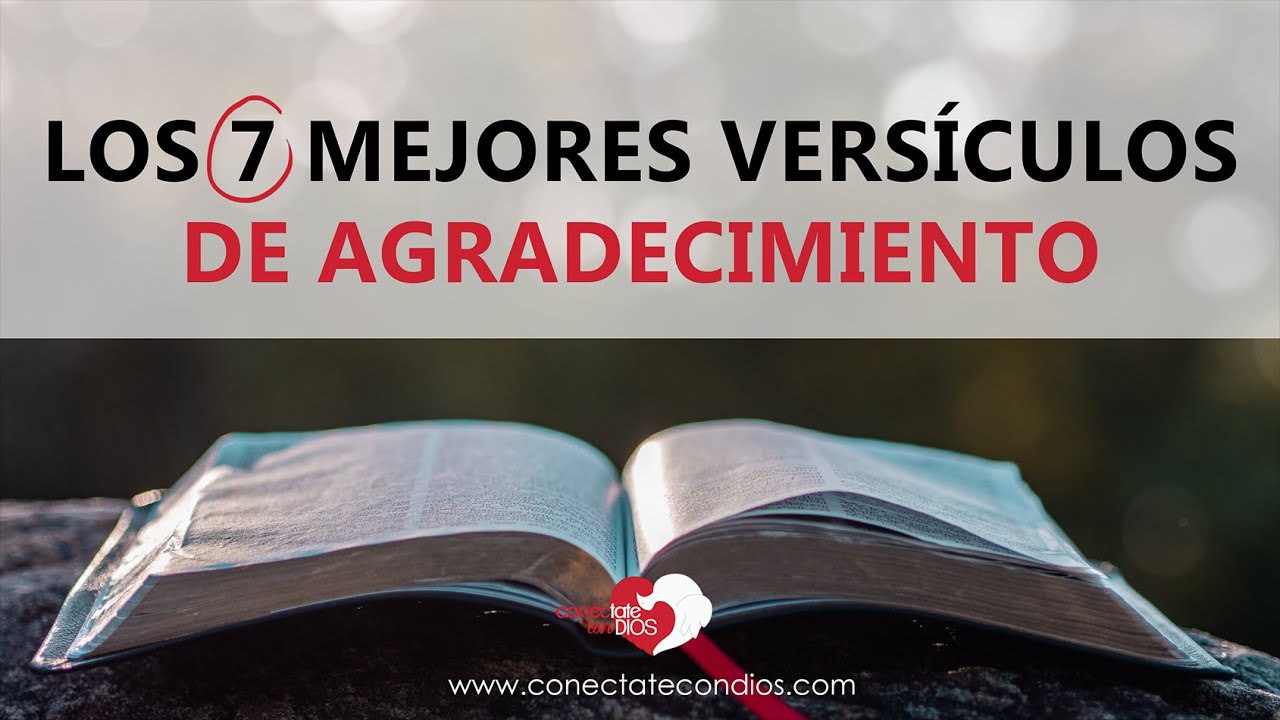 Textos bÃblicos de agradecimiento: 7 versos que inspiran gratitud 16 textos biblicos de agradecimiento
