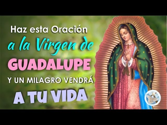 virgen guadalupe